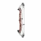 Preview: Hoyt Compoundbogen Concept XTS 34
