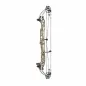 Preview: Hoyt Compoundbogen Concept XTS 34