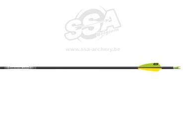 Easton Pfeilschaft ACE (12 Stk.)