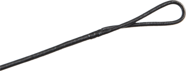 Flex-Archery Recurvesehne Carrera99R